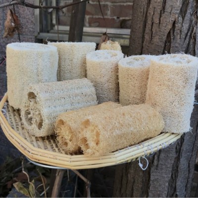 Natural Exfoliating Bath Sponges Body Loofah Egyptian, Biodegradable Loofah Kitchen Sponge(Non-Bleached, 12.5 cm)